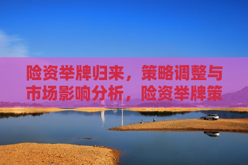 险资举牌归来，策略调整与市场影响分析，险资举牌策略调整与市场影响解析，险资举牌策略调整归来，市场影响解析