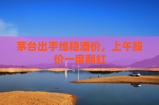 茅台出手维稳酒价，上午股价一度翻红
