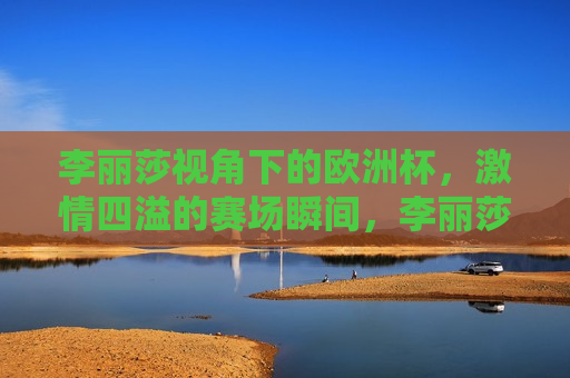 李丽莎视角下的欧洲杯， *** 四溢的赛场瞬间，李丽莎眼中的欧洲杯， *** 四溢的赛场风采，李丽莎眼中的欧洲杯， *** 四溢的赛场风采