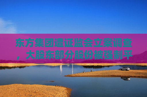 东方集团遭 *** 立案调查，大股东部分股份被强制平仓