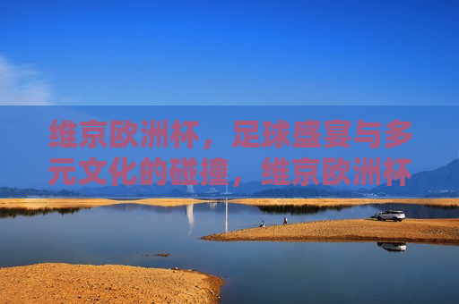 维京欧洲杯，足球盛宴与多元文化的碰撞，维京欧洲杯，足球盛宴与文化交融的盛宴，维京欧洲杯，足球盛宴与文化交融的狂欢