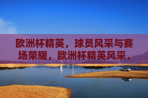 欧洲杯精英，球员风采与赛场荣耀，欧洲杯精英风采，赛场荣耀与球员风采展现，欧洲杯精英，赛场荣耀与球员风采展现