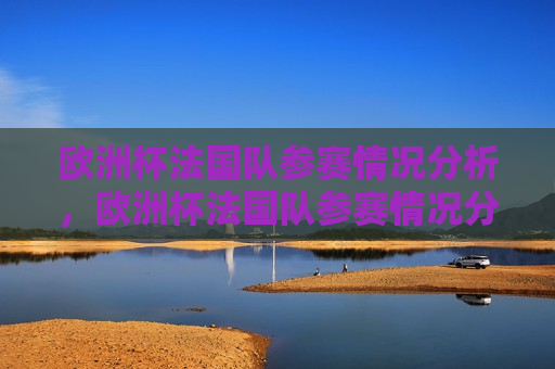 欧洲杯法国队参赛情况分析，欧洲杯法国队参赛情况分析，实力与策略的碰撞，欧洲杯法国队实力与策略碰撞，参赛情况分析