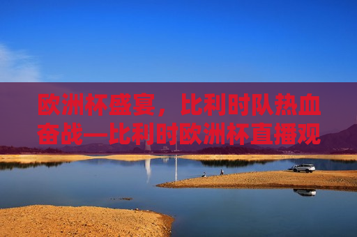 欧洲杯盛宴，比利时队热血奋战—比利时欧洲杯直播观赛全记录，比利时欧洲杯直播观赛全记录，热血奋战，逐梦盛宴，比利时欧洲杯热血奋战，直播观赛全记录
