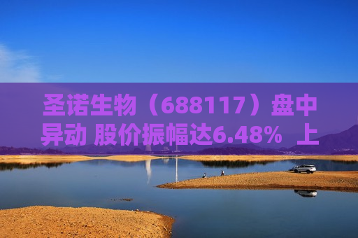 圣诺生物（688117）盘中异动 股价振幅达6.48%  上涨7.16%（06-26）