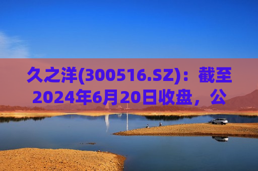久之洋(300516.SZ)：截至2024年6月20日收盘，公司股东人数为15805户  第1张