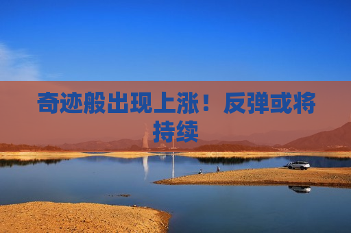奇迹般出现上涨！反弹或将持续