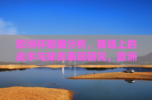 欧洲杯数据分析，赛场上的战术与球员表现研究，欧洲杯赛场战术与球员表现深度研究，欧洲杯赛场战术与球员表现深度研究