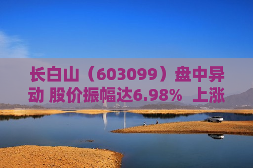 长白山（603099）盘中异动 股价振幅达6.98%  上涨6.98%（06-25）
