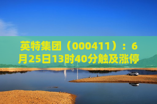 英特集团（000411）：6月25日13时40分触及涨停板  第1张