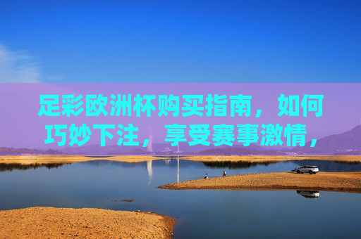 足彩欧洲杯购买指南，如何巧妙下注，享受赛事 *** ，警惕风险！足彩欧洲杯购买指南背后的法律问题需谨慎对待，足彩欧洲杯购买指南，如何巧妙下注，警惕风险与法律问题  第1张