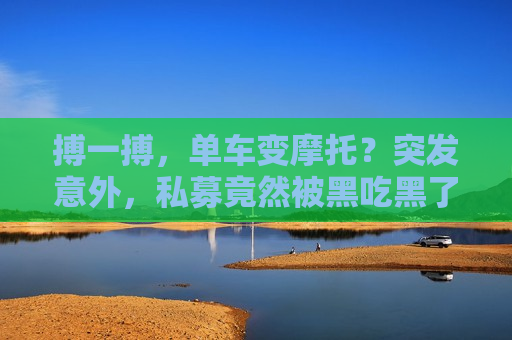 搏一搏，单车变摩托？突发意外，私募竟然被黑吃黑了  第1张