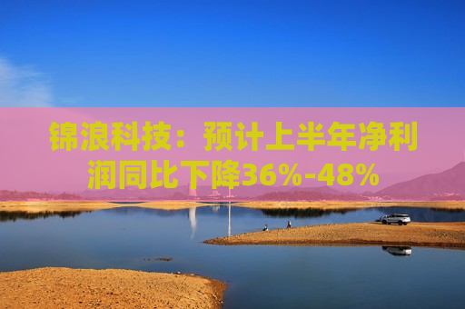 锦浪科技：预计上半年净利润同比下降36%-48%