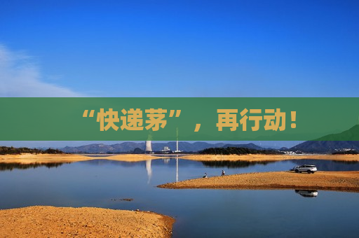 “快递茅”，再行动！