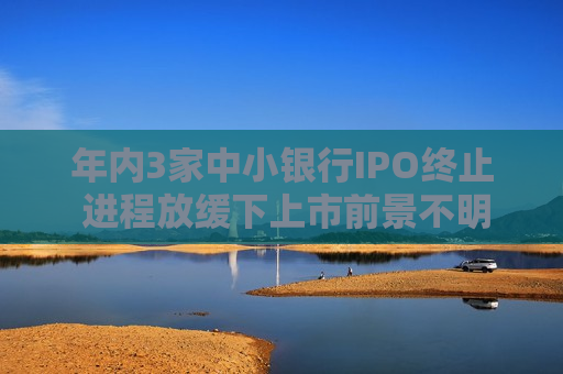 年内3家中小银行IPO终止 进程放缓下上市前景不明