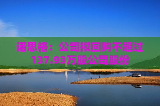 诺思格：公司拟回购不超过137.93万股公司股份