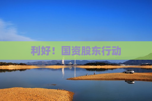 利好！国资股东行动