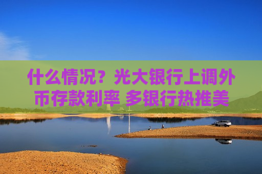 什么情况？光大银行上调外币存款利率 多银行热推美元存款 专家提示汇率风险需警惕