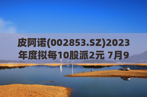 皮阿诺(002853.SZ)2023年度拟每10股派2元 7月9日除权除息