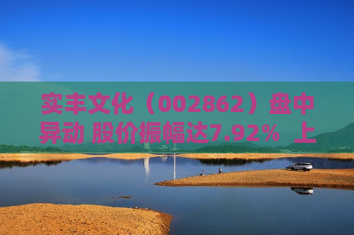 实丰文化（002862）盘中异动 股价振幅达7.92%  上涨7.33%（07-02）