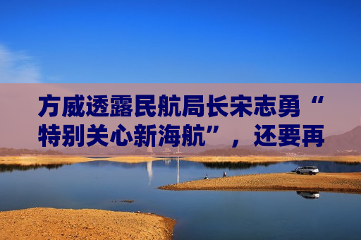 方威透露民航局长宋志勇“特别关心新海航”，还要再多给航线  第1张