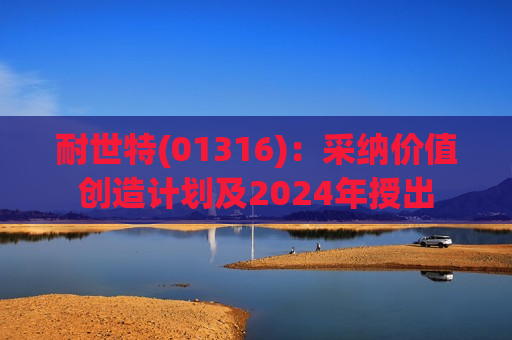 耐世特(01316)：采纳价值创造计划及2024年授出  第1张