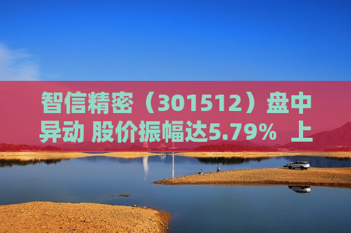 智信精密（301512）盘中异动 股价振幅达5.79%  上涨7.21%（07-09）
