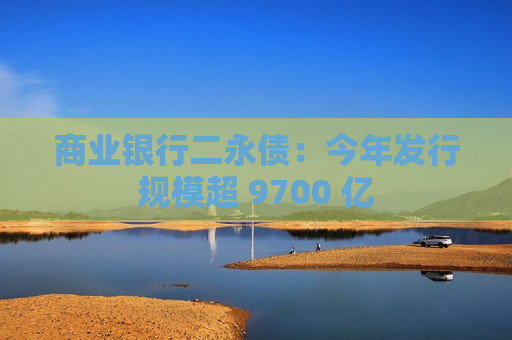 商业银行二永债：今年发行规模超 9700 亿  第1张