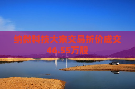 纳微科技大宗交易折价成交46.55万股  第1张