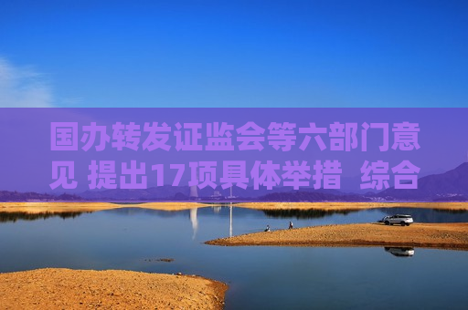 国办转发 *** 等六部门意见 提出17项具体举措  综合施策标本兼治 严打资本市场财务造假