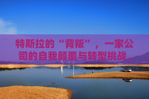 特斯拉的“背叛”，一家公司的自我颠覆与转型挑战，特斯拉的自我颠覆与转型挑战，背叛与重生，特斯拉的自我颠覆与转型挑战，背叛与重生之路