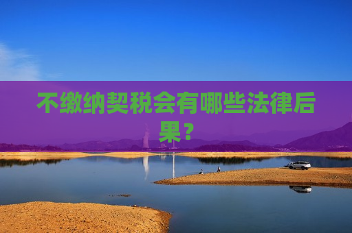 不缴纳契税会有哪些法律后果？
