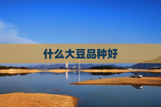 什么大豆品种好