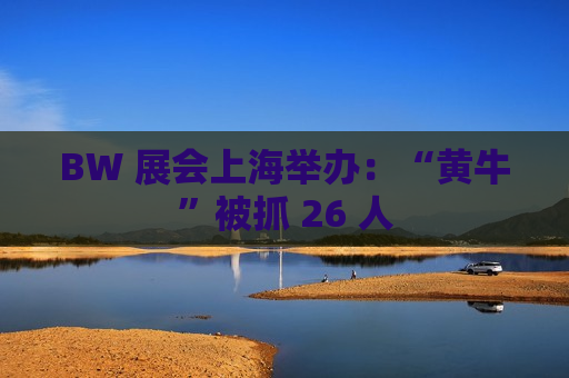 BW 展会上海举办：“黄牛”被抓 26 人