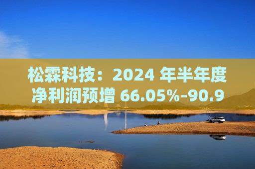 松霖科技：2024 年半年度净利润预增 66.05%-90.96%