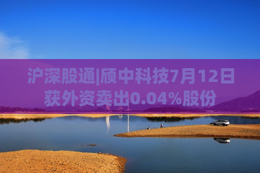 沪深股通|颀中科技7月12日获外资卖出0.04%股份