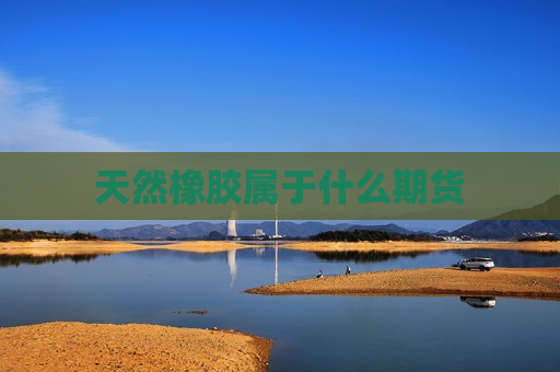天然橡胶属于什么期货  第1张