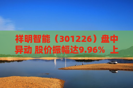 祥明智能（301226）盘中异动 股价振幅达9.96%  上涨6.88%（07-16）