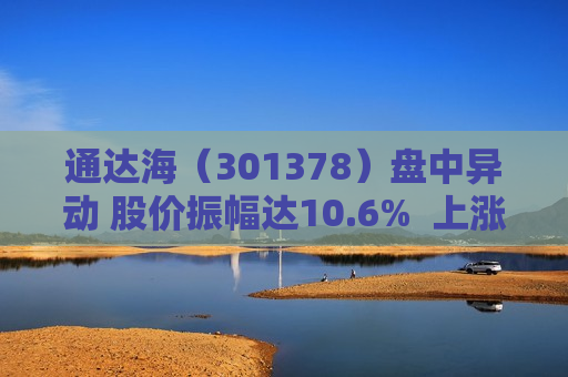 通达海（301378）盘中异动 股价振幅达10.6%  上涨7.05%（07-11）