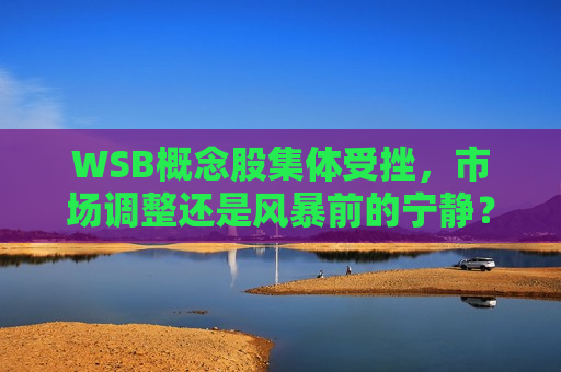 WSB概念股集体受挫，市场调整还是风暴前的宁静？，WSB概念股集体受挫，市场调整还是风暴前的宁静？，WSB概念股集体受挫，市场调整抑或风暴前的宁静？