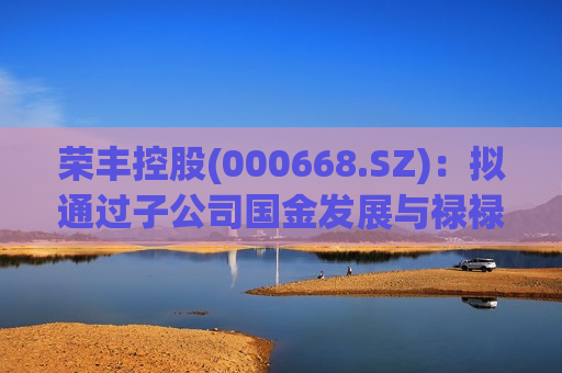 荣丰控股(000668.SZ)：拟通过子公司国金发展与禄禄捌投资合作设立合资公司  第1张