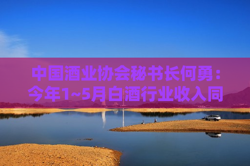 中国酒业协会秘书长何勇：今年1~5月白酒行业收入同比增长11.8%