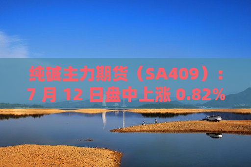 纯碱主力期货（SA409）：7 月 12 日盘中上涨 0.82%，报 1970 元