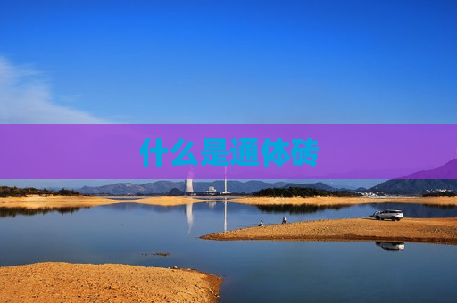 什么是通体砖