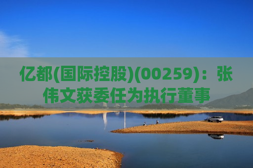 亿都(国际控股)(00259)：张伟文获委任为执行董事
