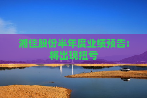湘佳股份半年度业绩预告:将出现扭亏
