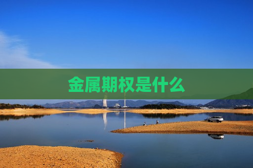 金属期权是什么