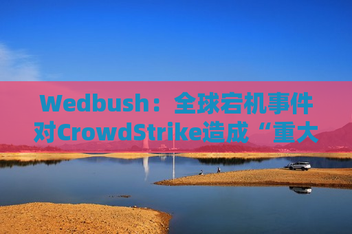 Wedbush：全球宕机事件对CrowdStrike造成“重大打击” 同行有望获利