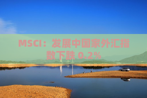 MSCI：发展中国家外汇指数下跌 0.2%