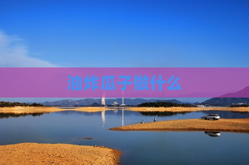 油炸瓜子做什么